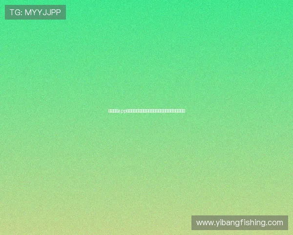 宝马娱乐app打造世界杯主题专属内容专区满足用户多样化观看需求