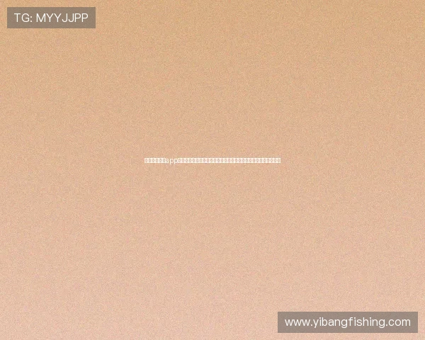 通过星界娱乐app官方下载实时观看世界杯比赛直播,享受高清流畅的赛事视听盛宴