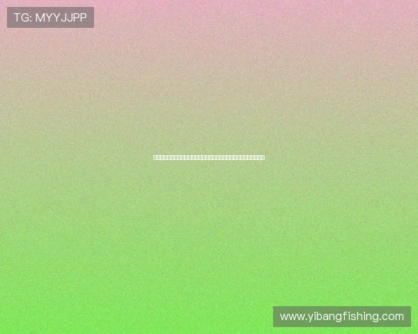 乐鱼体育登录网页入口助你第一时间掌握世界杯比赛精彩瞬间与赛程安排